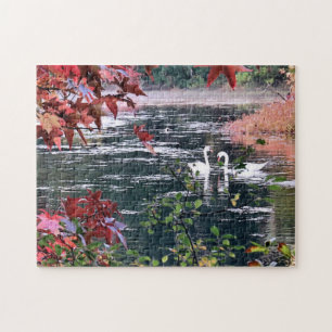 Puzzle - Swans at Jenney Pond