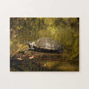 Puzzle - Turtle on Log in Pond