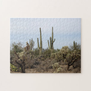 Puzzle--Various Cacti Jigsaw Puzzle