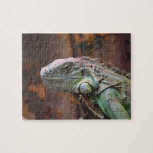 Puzzle with colourful Iguana lizard