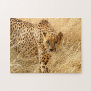 Puzzle with Gift Box/Cheetah