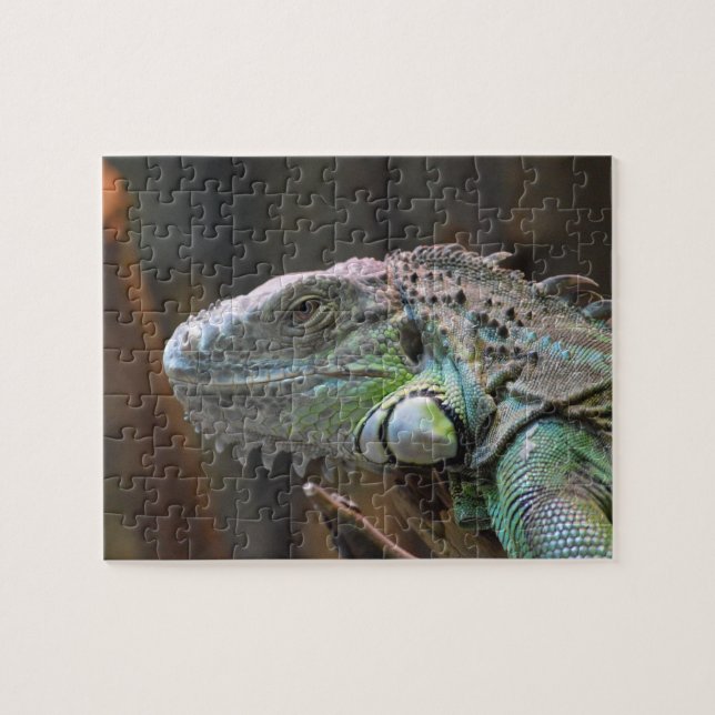 Puzzle with head of colourful Iguana lizard (Horizontal)