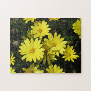 Puzzle - Yellow Daisies
