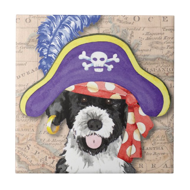 PWD Pirate Tile (Front)