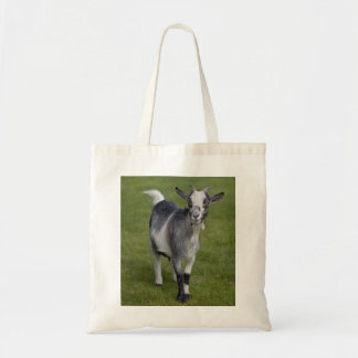 Pygmy Goat Bag
