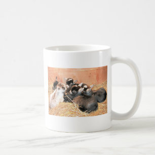 Pygmy goat coffee mug