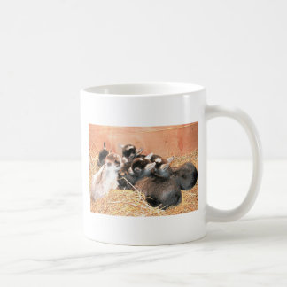 Pygmy goat coffee mug