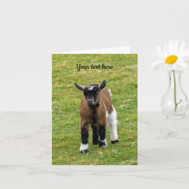 Pygmy Goat Kid Greeting Card (Small Plant)