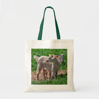 Pygmy Goat Kids Bag
