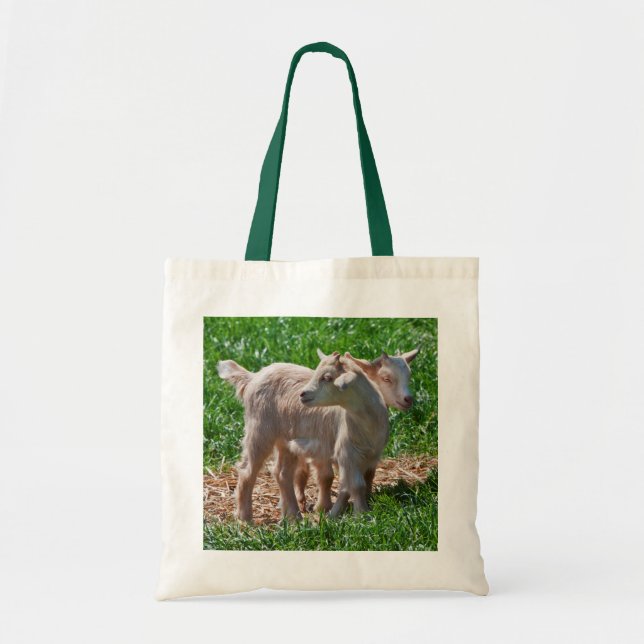 Pygmy Goat Kids Bag (Front)