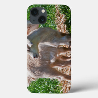 Pygmy Goat Kids iPad Case