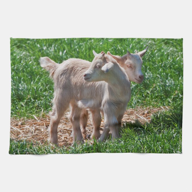 Pygmy Goat Kids Kitchen Towel (Horizontal)