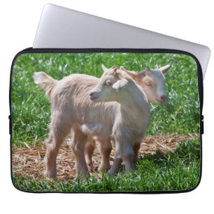 Pygmy Goat Kids Laptop Sleeve