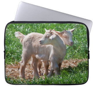 Pygmy Goat Kids Laptop Sleeve