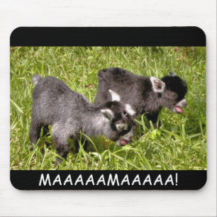 Pygmy goat kids. MAAAAAMAAAAA! mouse pad