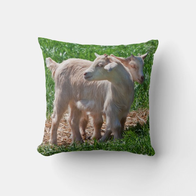 Pygmy Goat Kids Pillow (Front)