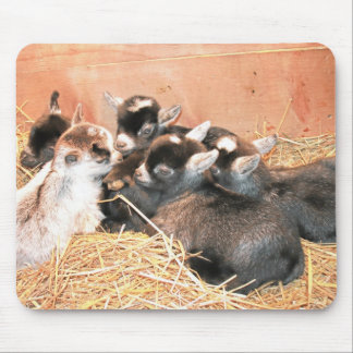 Pygmy Goat Mouse Mat