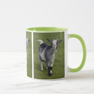 Pygmy Goat Mug