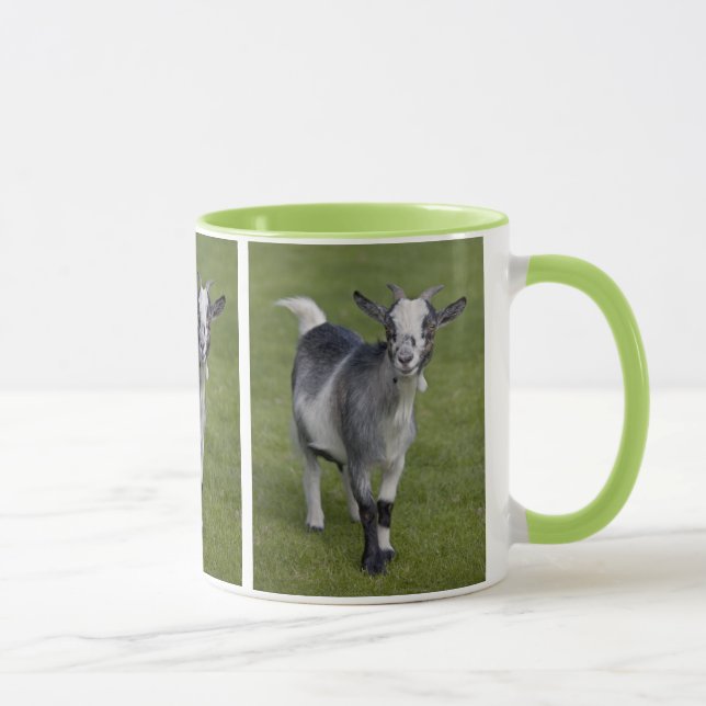 Pygmy Goat Mug (Right)