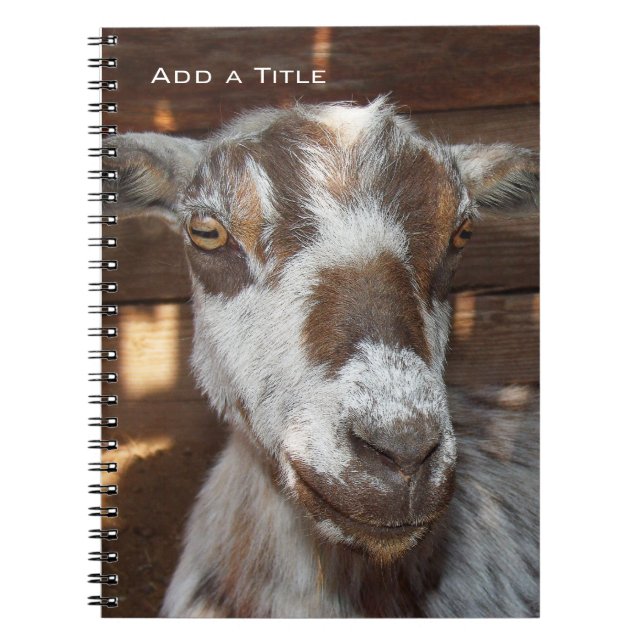 Pygmy Goat Notebook (Front)
