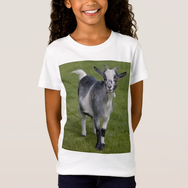 Pygmy Goat Tee (Front)
