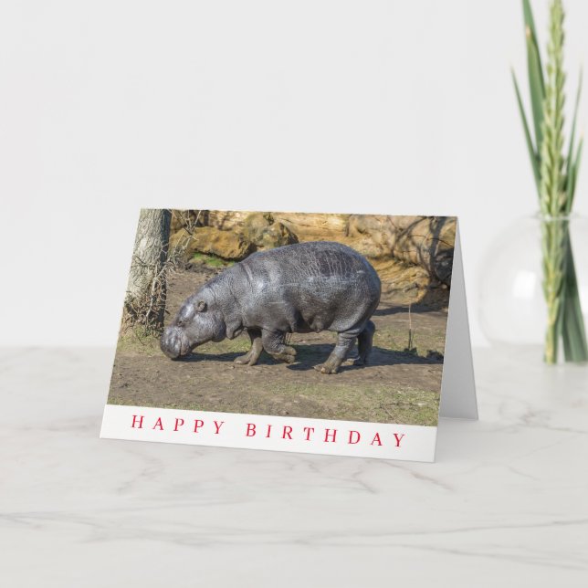 Pygmy hippo birthday card (Front)