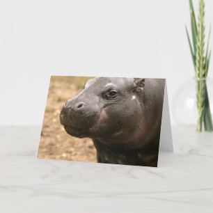 Pygmy Hippo Greeting Card