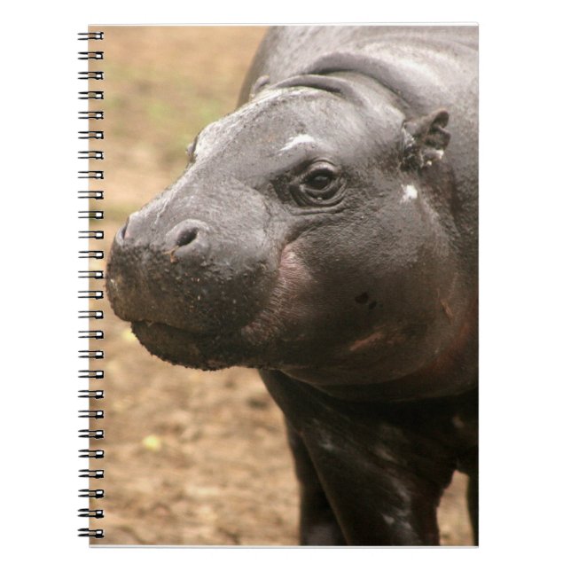 Pygmy Hippo Notebook (Front)