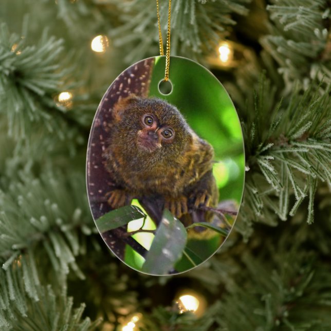 Pygmy Marmoset Magic Ceramic Tree Decoration (Tree)