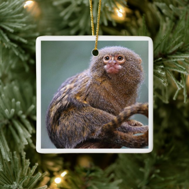Pygmy Marmoset Ornament (Tree)