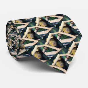 Pygmy Marmoset Tree Hugger, Neck Tie