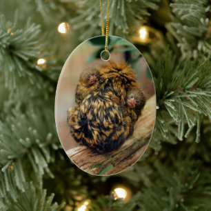 Pygmy Marmoset with Twins Ceramic Tree Decoration