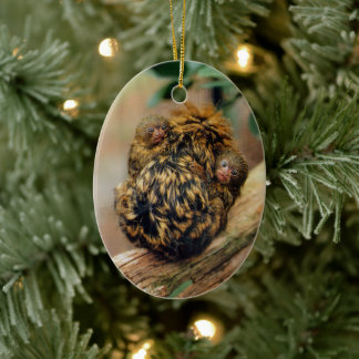 Pygmy Marmoset with Twins Ceramic Tree Decoration