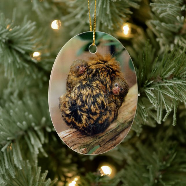 Pygmy Marmoset with Twins Ceramic Tree Decoration (Tree)