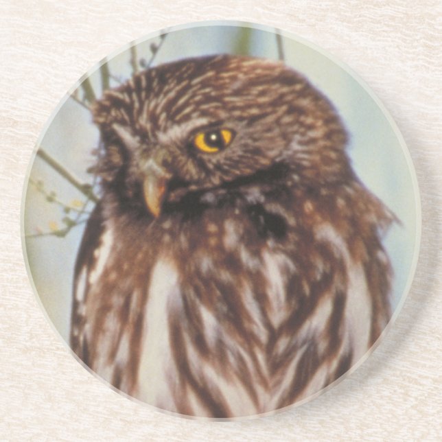 Pygmy Owl Coaster (Front)