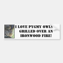 pygmy-owl, I love Pygmy Owls...grilled over an ...