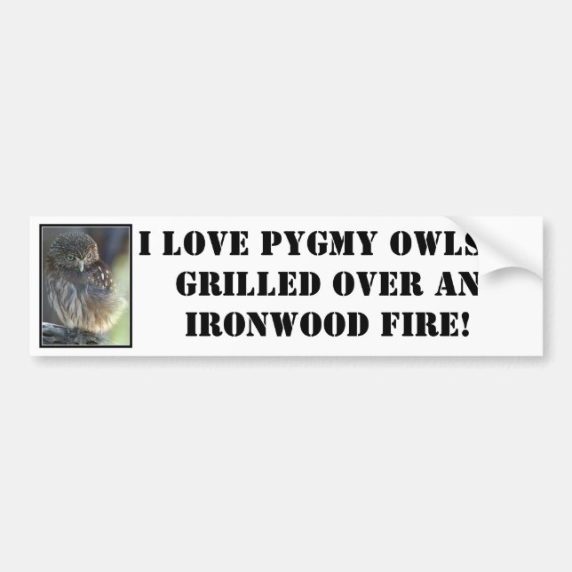 pygmy-owl, I love Pygmy Owls...grilled over an ... Bumper Sticker (Front)