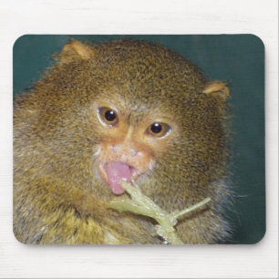 pygmymarmoset10x10 mouse mat