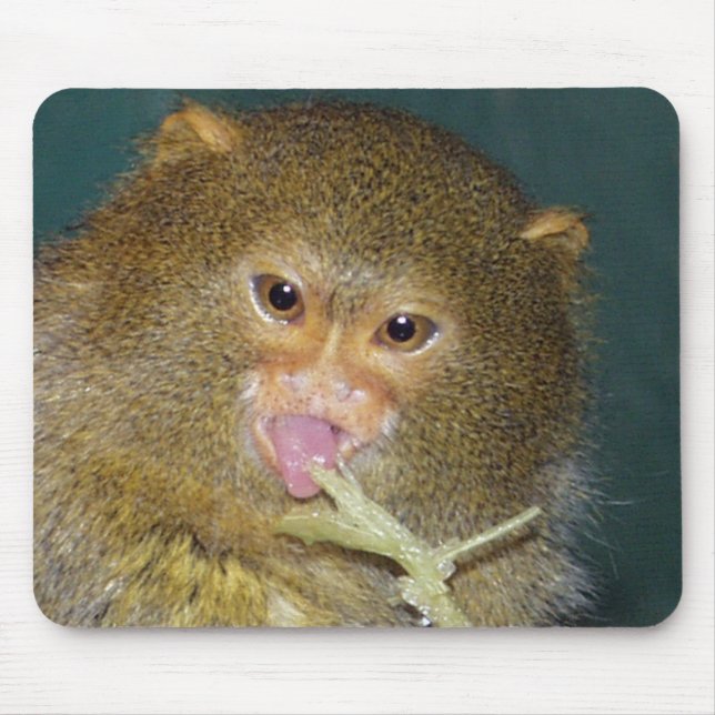 pygmymarmoset10x10 mouse mat (Front)