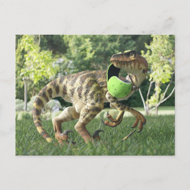 PygmyPets Raptor 3D - Postcard (Front)