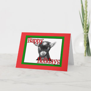 Pygora Goat Holiday Christmas Card