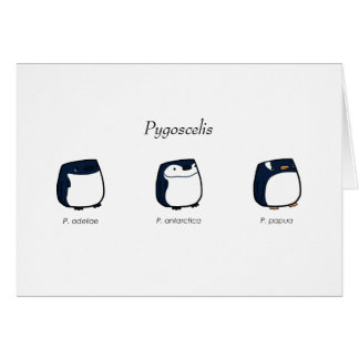 Pygoscelis Card