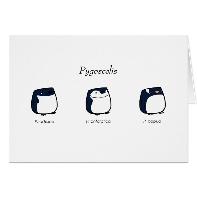 Pygoscelis Card (Front Horizontal)