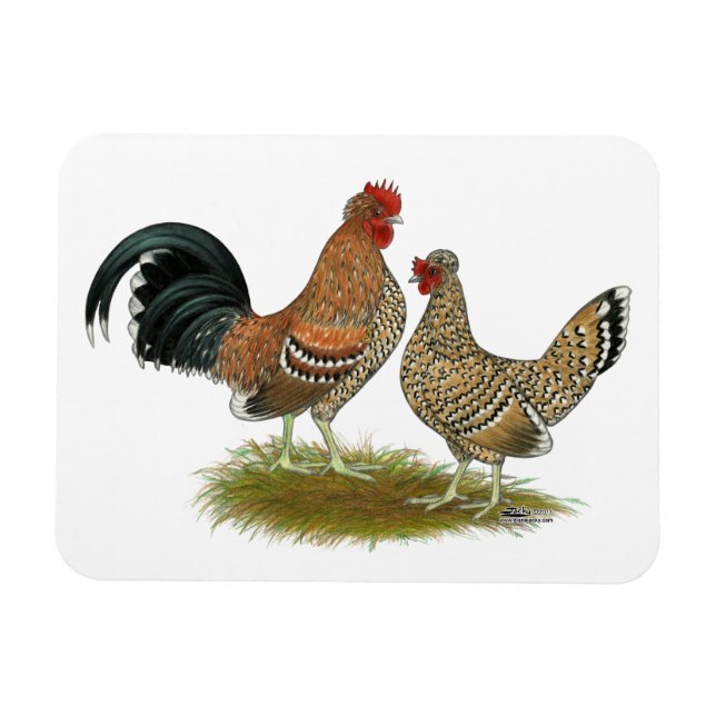Pyncheon Bantams Magnet (Horizontal)
