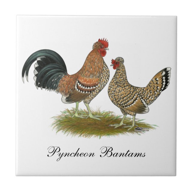 Pyncheon Bantams Tile (Front)