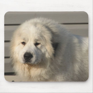 Pyr Power Mouse Mat