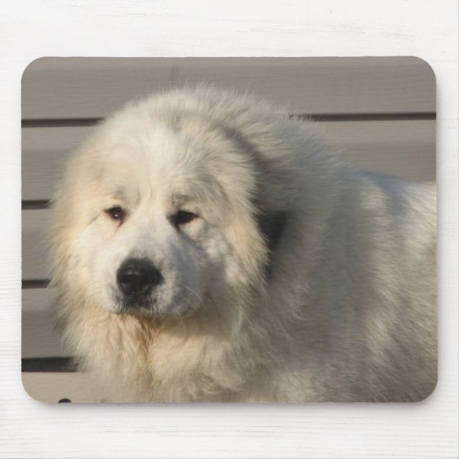 Pyr Power Mouse Mat (Front)