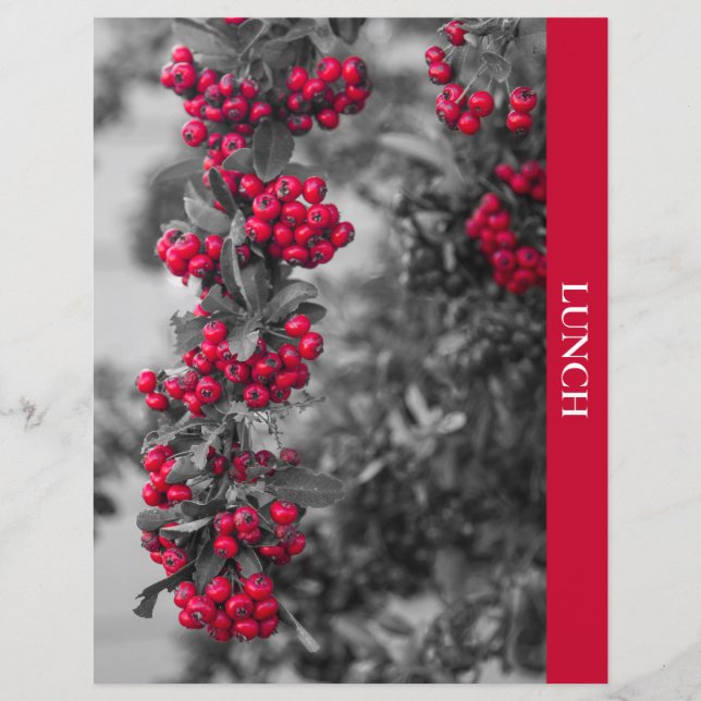 Pyracantha Berry Lunch Recipe Divider (Front)