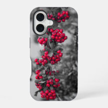 Pyracantha Berry Phone Case