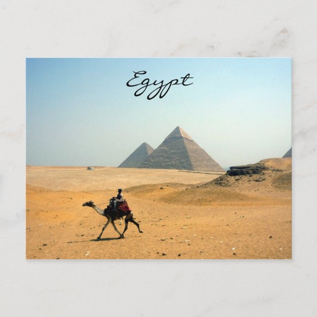 pyramid camel postcard (Front)